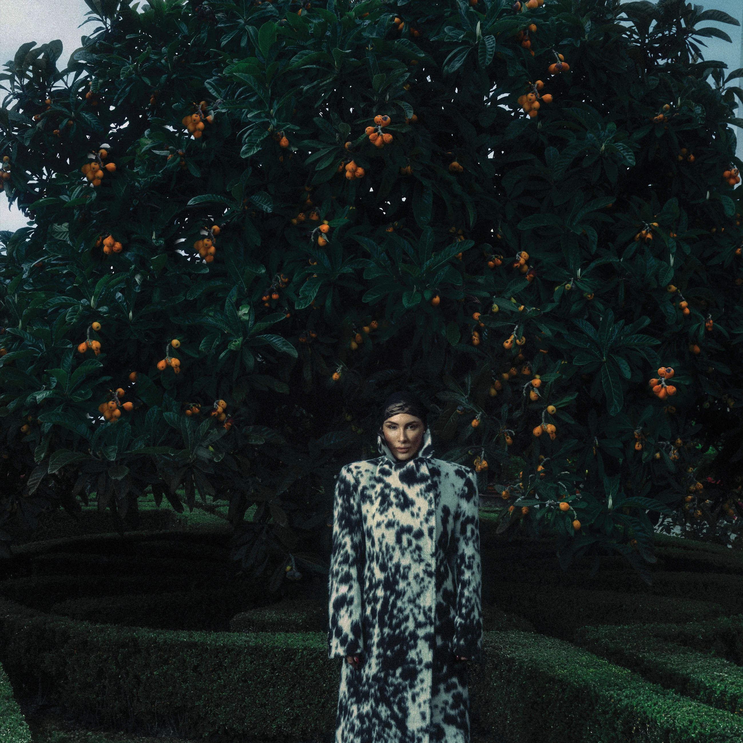 Senidah Vogue Adria 005